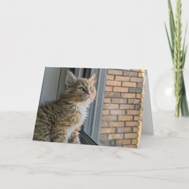 Carte Huey regarde le monde (Devant)