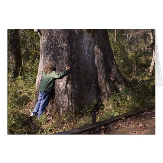 Carte Hugger Arbre (Devant horizontal)