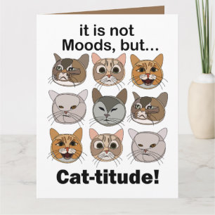 Carte Humeur féline Amoureux des chats