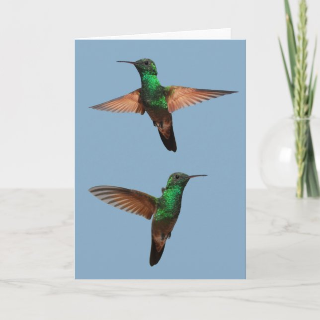 Carte Humminbirds (Devant)