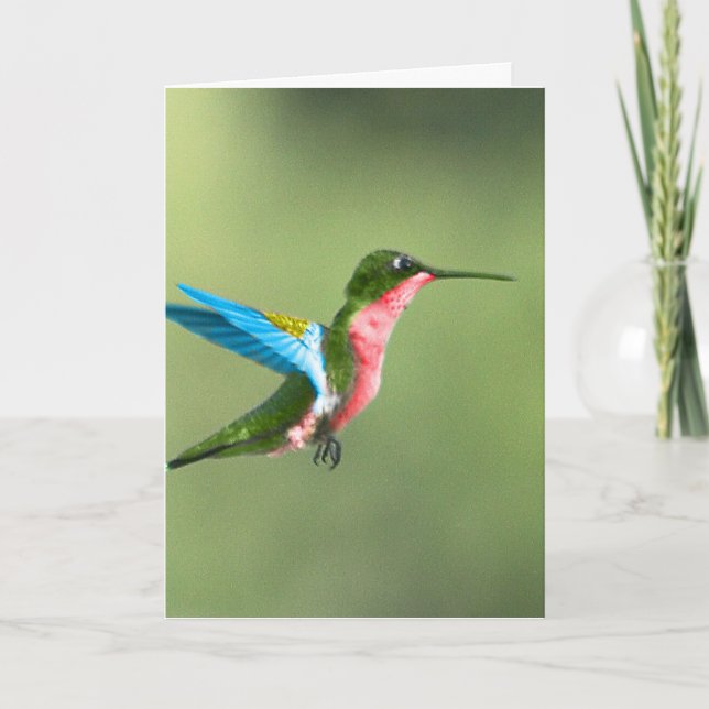 Carte Humming Bird Card pour toutes les occasions. (Devant)