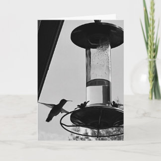 Carte Hummingbird feeder