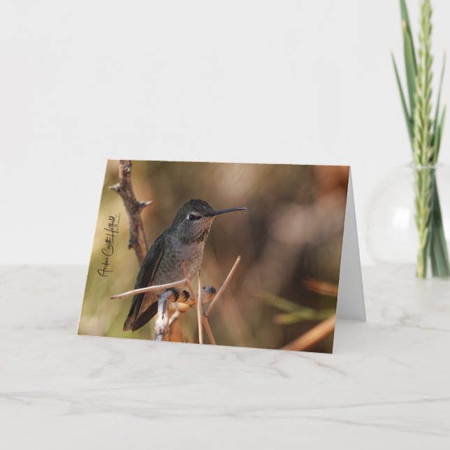 Carte Hummingbird Note Card (Devant)