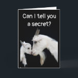 CARTE HUMORISTIQUE "EN RETARD" ANNIVERSAIRE MAIS SANS FA<br><div class="desc">MERCI D'ÊTRE PASSÉ PAR L'UNE DE MES HUIT BOUTIQUES !! VOUS VOULEZ ENVOYER À UN AMI OU À UN PROCHE "UNE CARTE D'ANNIVERSAIRE AMUSANTE ET HEUREUSE MALGRÉ LE RETARD" ? ALORS CE COUPLE DE CHÈVRES LES AIDERA À VOUS PARDONNER D'ÊTRE EN RETARD,  C'EST SÛR !!!!!</div>