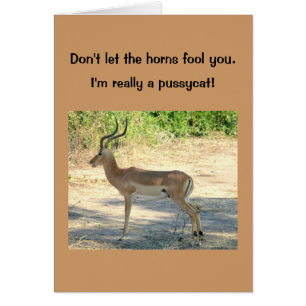 carte, humoristique, "Ne laissez pas les cornes vo