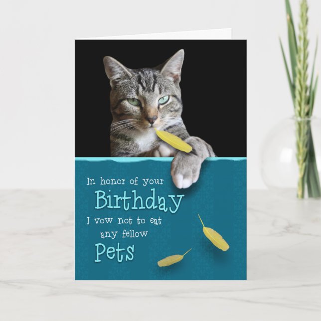 Carte Humorous Birthday Card from the Naughty Cat (Devant)