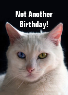 Cartes Turc D Anniversaire Zazzle Fr Cartes Turc D Anniversaire Zazzle Fr