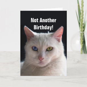 Carte Humour angora turc de chat de joyeux anniversaire