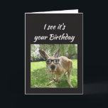 Carte Humour animal de Fun Kangaroo Cheers<br><div class="desc">Fun Kangaroo Cheers Mate Australian Animal Humor for that special birthday</div>