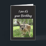 Carte Humour animal de Fun Kangaroo Cheers<br><div class="desc">Fun Kangaroo Cheers Mate Australian Animal Humor for that special birthday</div>