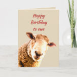 Carte Humour animal de moutons drôles de brebis de<br><div class="desc">Joyeux anniversaire au calembour d'amusement de brebis à l'intérieur du vers : assez vieux être éteint pour pâturer l'humour animal de moutons drôles pour celui ayant un anniversaire avec un sens de l'humour</div>