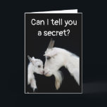 CARTE HUMOUR ANNIVERSAIRE "BATTU", PAS DE PETIT BESOIN !<br><div class="desc">MERCI D'AVOIR ARRÊTÉ PRÈS D'UN DE MES HUIT MAGASINS ! ! VOUS SENTEZ LE BESOIN D'ENVOYER UN AMI OU UN AMI "UN PLAISIR HEUREUX MÊME SI VOUS AVEZ BATTU CARTE D'ANNIVERSAIRE* PUIS CETTE PAIRE DE CHÈVRES LES AIDERA À VOUS PARDONNER D'ÊTRE EN RETARD POUR VRAI ! ! ! !</div>