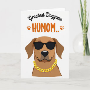 Carte Humour Canin à Points