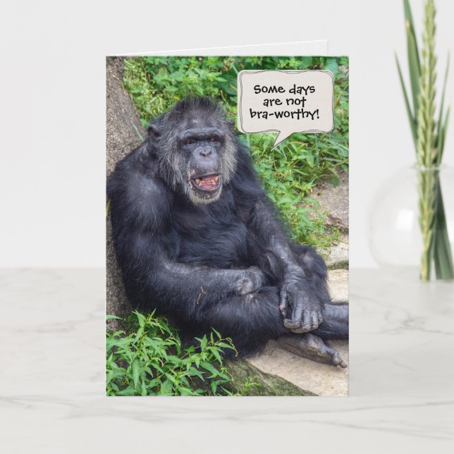 Carte humour chimpanzé pour encourager les amis (Devant)
