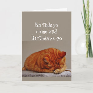 Carte Humour d'anniversaire 80 ans Plus très jeune Chat 