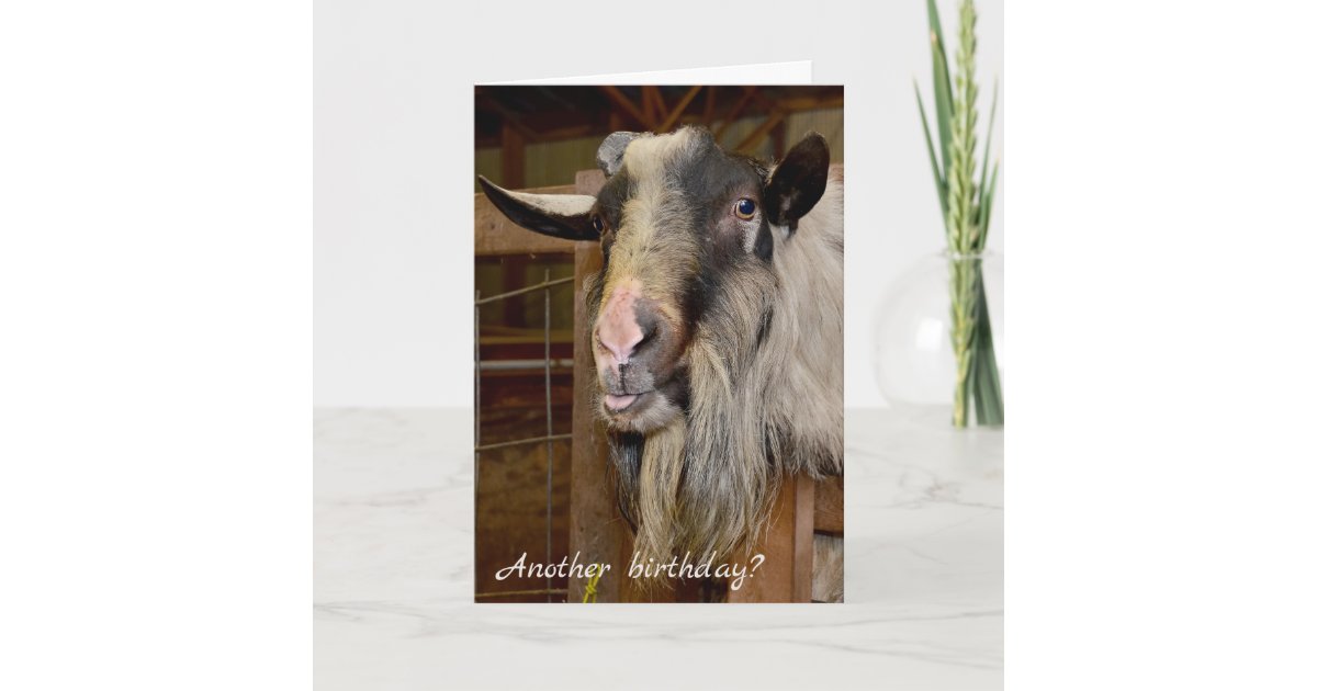 Les 80 Meilleures Humour Joyeux Anniversaire Chevre