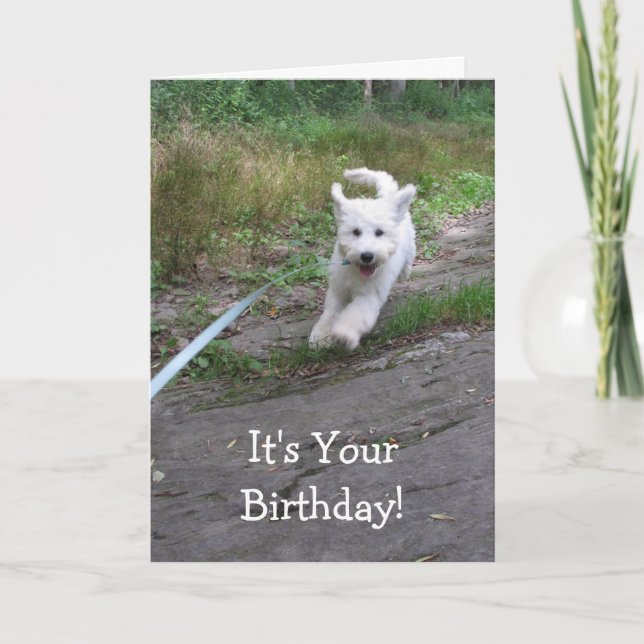 Carte Humour d'anniversaire avec mignonne Coupe Goldendo (Devant)
