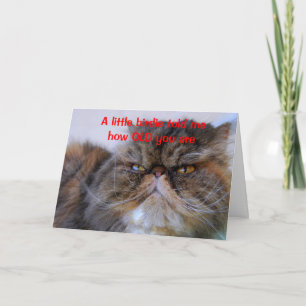 Carte Humour d'anniversaire Calico Persian Kitty Card