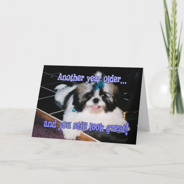 Carte Humour d'anniversaire - Chiot Chih-Tzu mignon (Devant)
