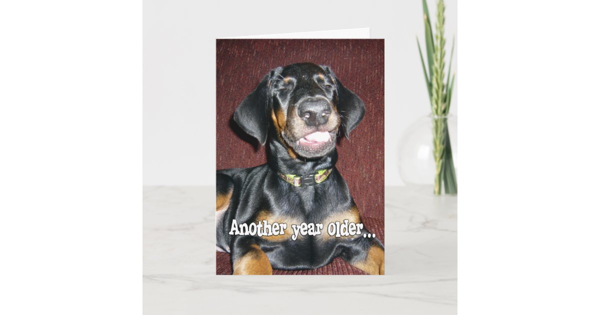 Carte Humour D Anniversaire Chiot De Sourire De Zazzle Fr