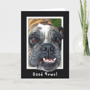 Carte Humour d'anniversaire de Bulldog