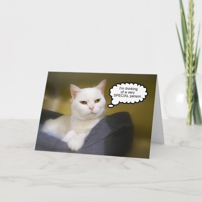 Carte Humour d'anniversaire de Chat blanc soeur (Devant)