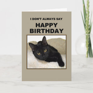 Cartes De Vœux Humour Chat Noir Zazzle Fr