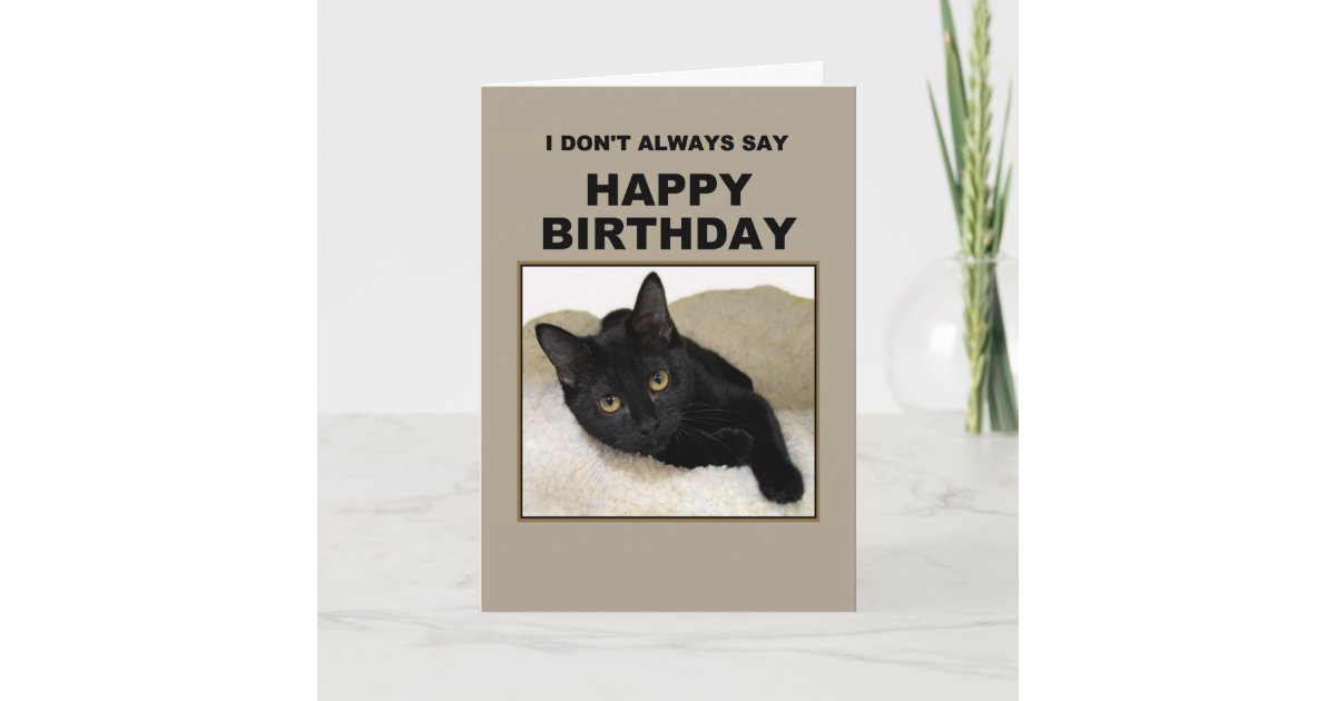 Carte Humour D Anniversaire De Chat Noir Zazzle Fr