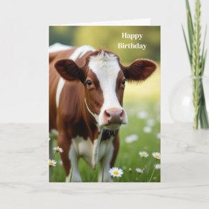Carte Humour d'anniversaire de la vache de Guernesey