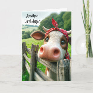 Carte Humour d'anniversaire de la vache Heifer