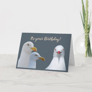 Carte Humour d'anniversaire de notre part à tous Mouette