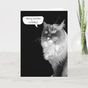 Carte Humour d'anniversaire de Ragdoll