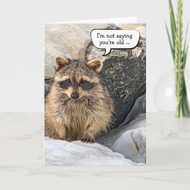Carte Humour d'anniversaire de raton laveur (Devant)