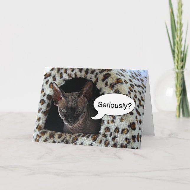 Carte Humour d'anniversaire de Sphinx Cat (Devant)