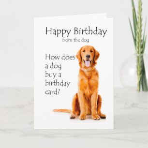 Carte Humour d'anniversaire drôle de Golden Retriever