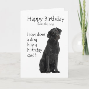 Carte Humour d'anniversaire drôle pour un labrador noir