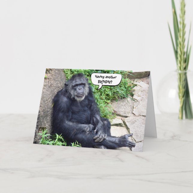 Carte Humour d'anniversaire du chimpanzé (Devant)