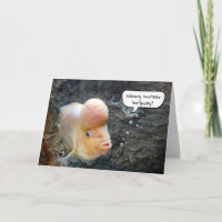 Humour d'anniversaire du poisson à cornes de fleur