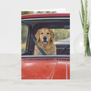 Carte Humour d'anniversaire Golden Retriever portant une