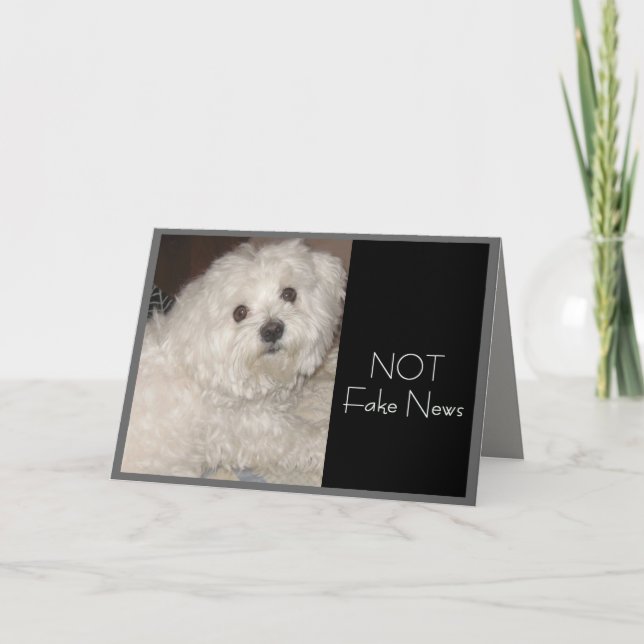 Carte Humour d'anniversaire maltais pour tout le monde (Devant)