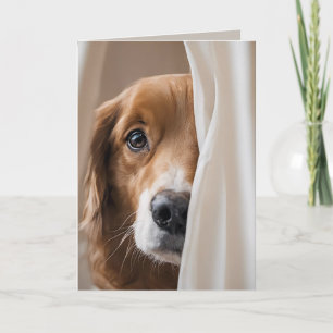 Carte Humour d'anniversaire pour Golden Retriever