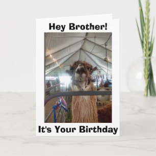 CARTE *HUMOUR DE BROTHER* LAMA À VOTRE ANNIVERSAIRE