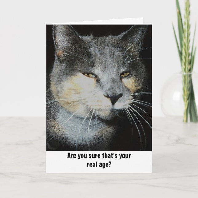 Carte Humour de chat d'anniversaire (Devant)