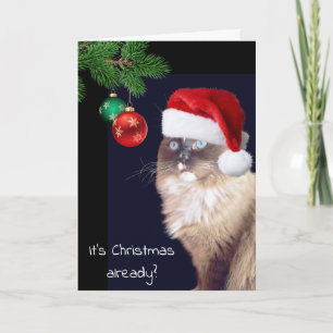 Carte Humour de chat de Noël Ragdoll