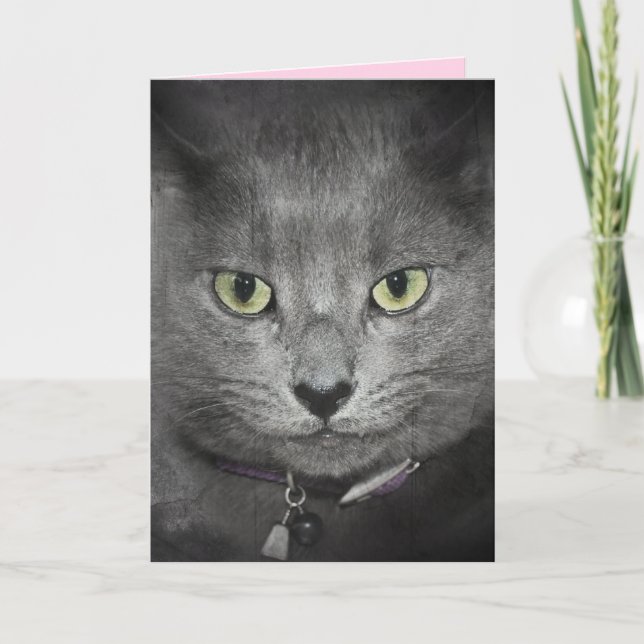Carte Humour de chat gris anniversaire (Devant)