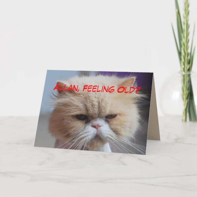 Carte Humour de chat persan d'anniversaire de frère (Devant)