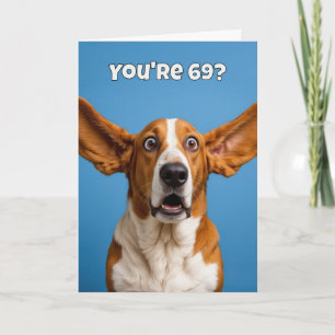 Carte Humour de chien basset pour 69e anniversaire