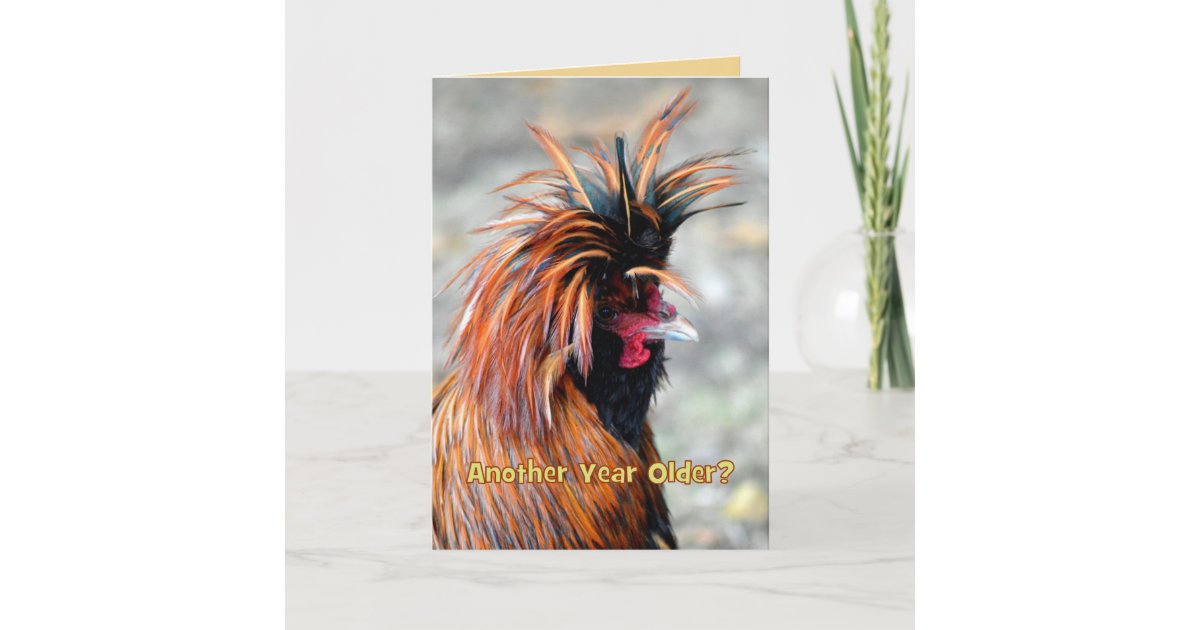 Carte Humour De Fantaisie De Joyeux Anniversaire De Coq Zazzle Fr