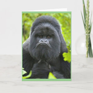 Carte Humour de la peste