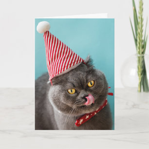 Carte Humour de Noël pour chats